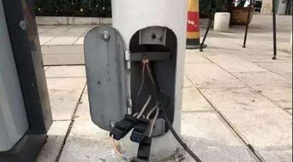 路灯漏电导致宠物狗被电死，这是不是主人的责任？