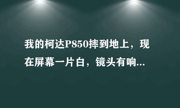 我的柯达P850摔到地上，现在屏幕一片白，镜头有响声，怎么办？