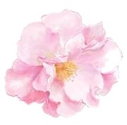 qq炫舞自定义情侣戒指透明图案