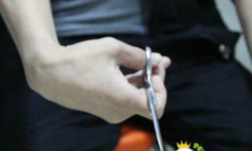 宠物美容怎么练习剪刀 正确做法是这样