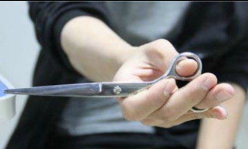 宠物美容怎么练习剪刀 正确做法是这样