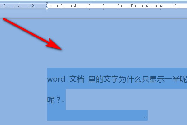 office2013的word
