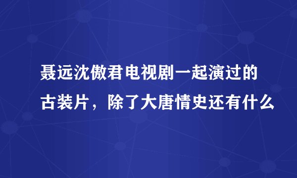 聂远沈傲君电视剧一起演过的古装片，除了大唐情史还有什么