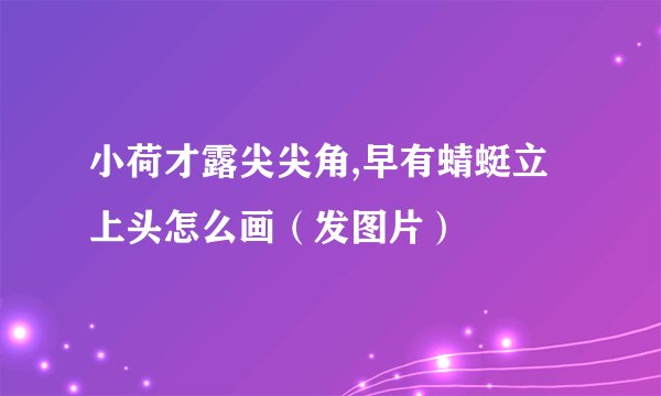 小荷才露尖尖角,早有蜻蜓立上头怎么画（发图片）