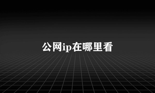 公网ip在哪里看