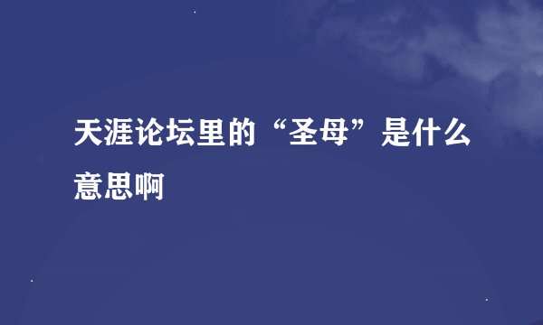 天涯论坛里的“圣母”是什么意思啊