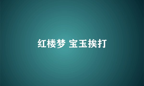 红楼梦 宝玉挨打