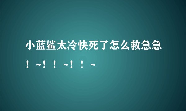 小蓝鲨太冷快死了怎么救急急！~！！~！！~