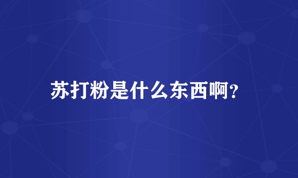 苏打粉是什么东西啊？