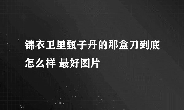 锦衣卫里甄子丹的那盒刀到底怎么样 最好图片