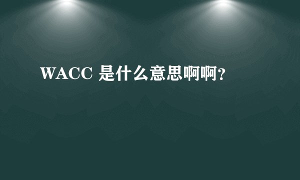WACC 是什么意思啊啊？