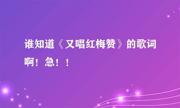 谁知道《又唱红梅赞》的歌词啊！急！！