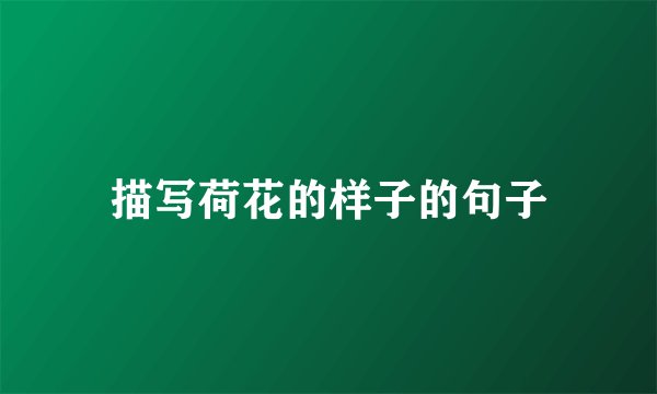描写荷花的样子的句子