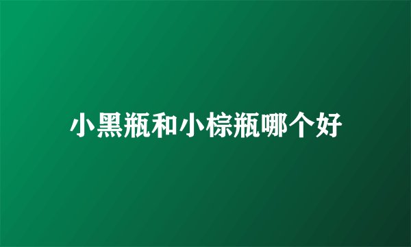 小黑瓶和小棕瓶哪个好