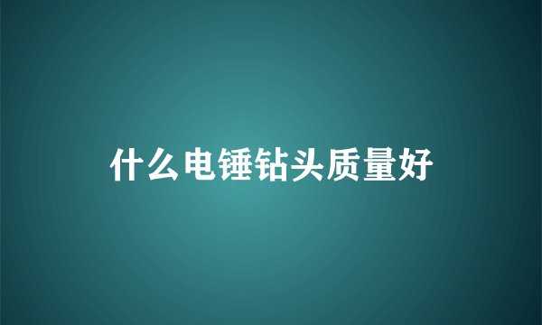 什么电锤钻头质量好
