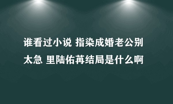 谁看过小说 指染成婚老公别太急 里陆佑苒结局是什么啊