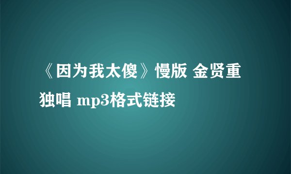 《因为我太傻》慢版 金贤重 独唱 mp3格式链接