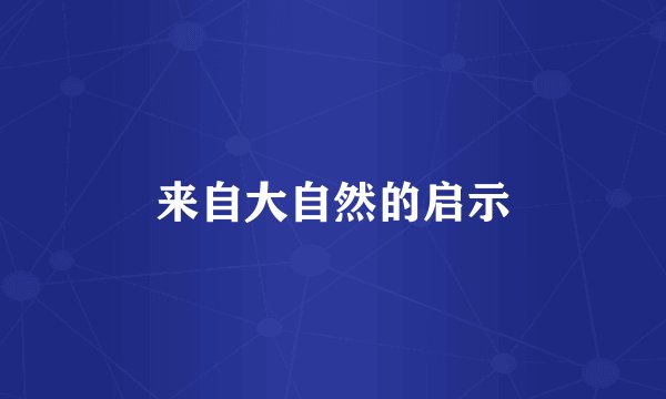 来自大自然的启示
