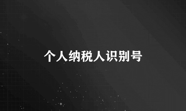 个人纳税人识别号