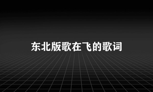 东北版歌在飞的歌词