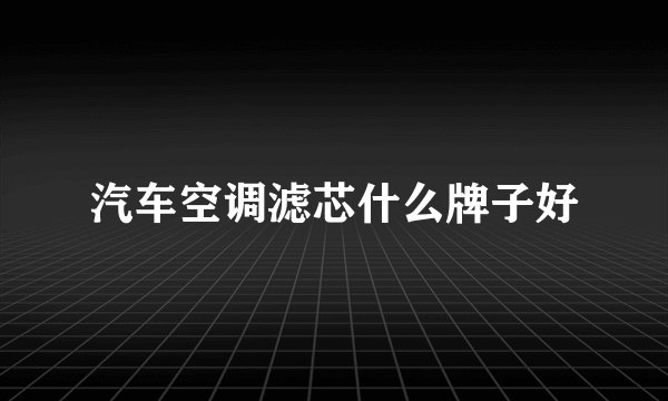 汽车空调滤芯什么牌子好