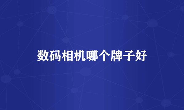 数码相机哪个牌子好