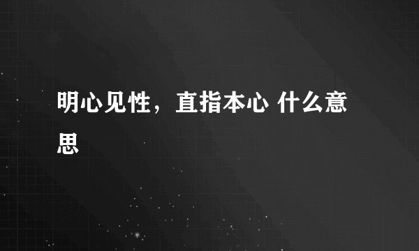 明心见性，直指本心 什么意思