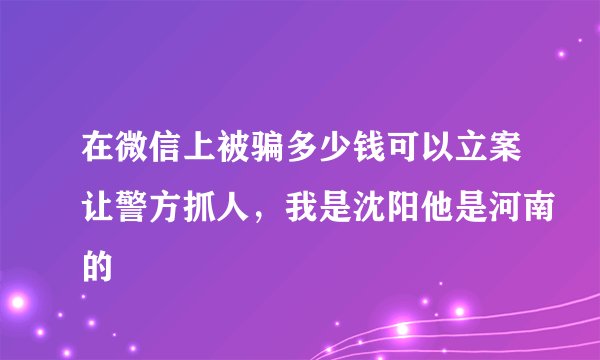 在微信上被骗多少钱可以立案让警方抓人，我是沈阳他是河南的