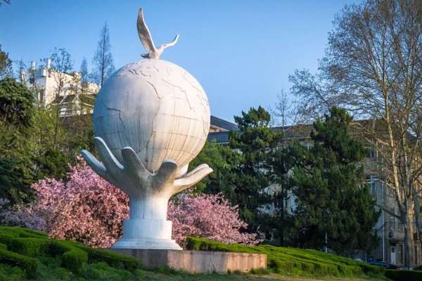 南京林业大学怎么样？