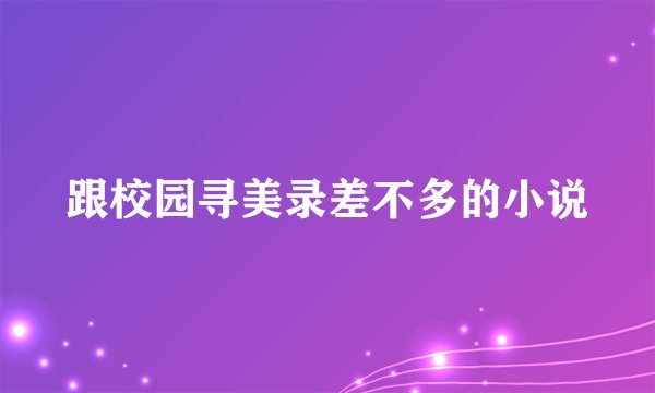 跟校园寻美录差不多的小说