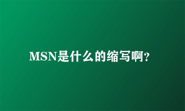 MSN是什么的缩写啊？