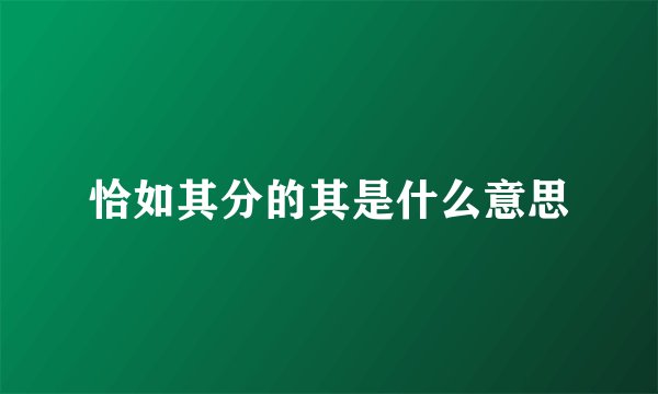 恰如其分的其是什么意思