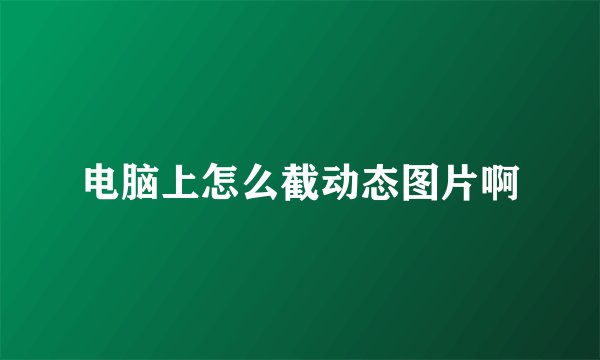 电脑上怎么截动态图片啊