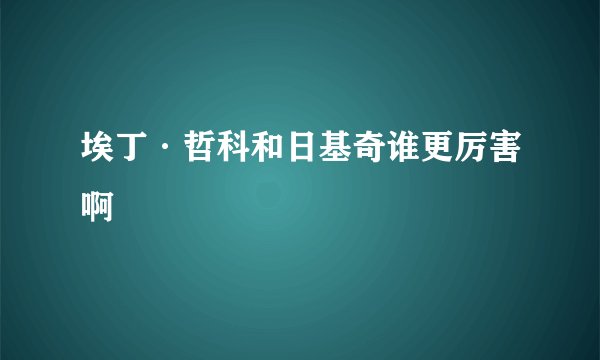 埃丁·哲科和日基奇谁更厉害啊