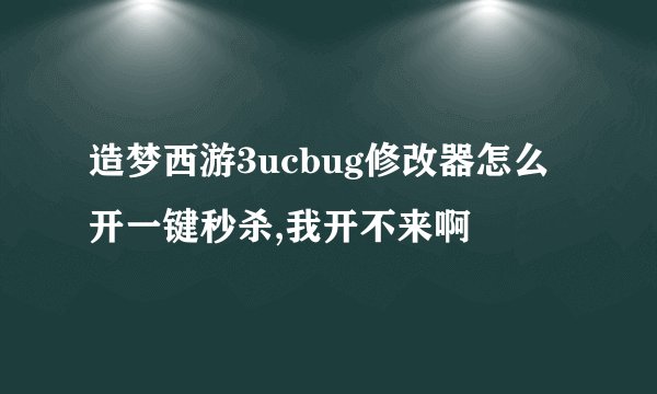 造梦西游3ucbug修改器怎么开一键秒杀,我开不来啊