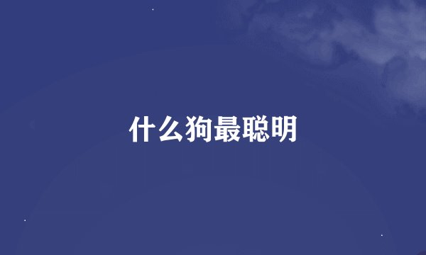 什么狗最聪明