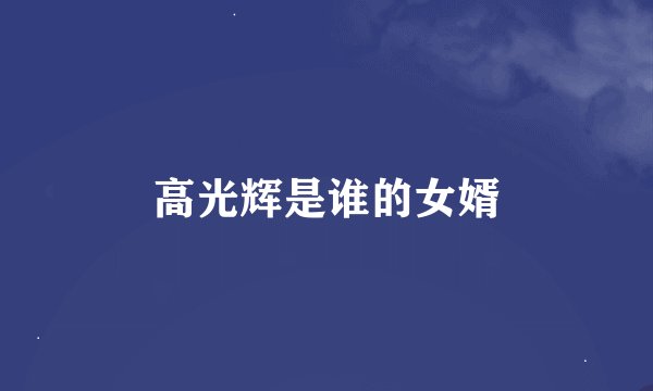 高光辉是谁的女婿