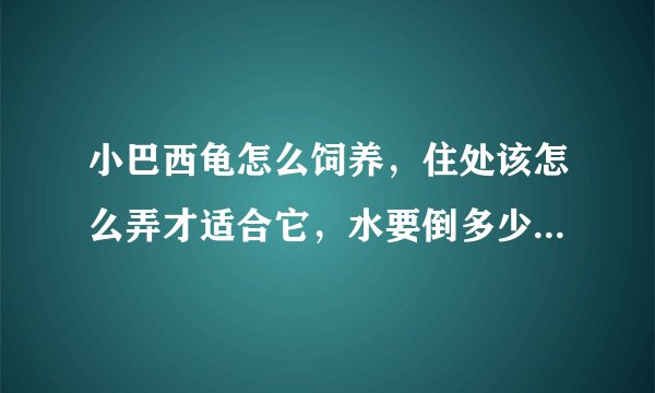 小巴西龟怎么饲养，住处该怎么弄才适合它，水要倒多少。饲养方法等