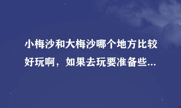 小梅沙和大梅沙哪个地方比较好玩啊，如果去玩要准备些什么东西呢？
