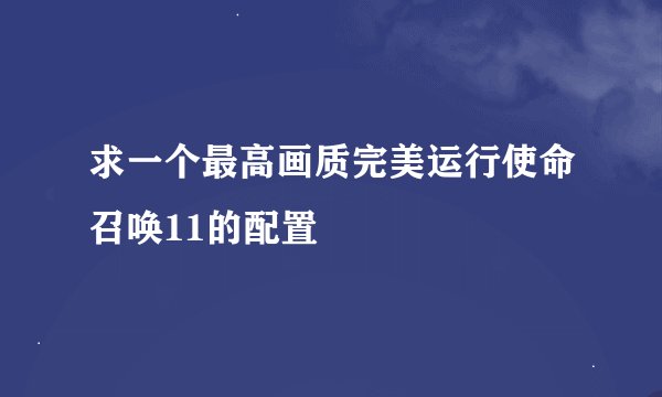 求一个最高画质完美运行使命召唤11的配置