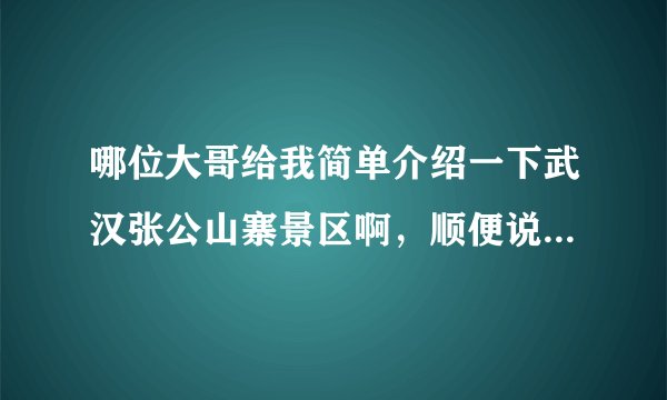 哪位大哥给我简单介绍一下武汉张公山寨景区啊，顺便说下门票价格
