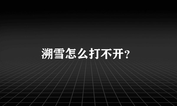 溯雪怎么打不开？