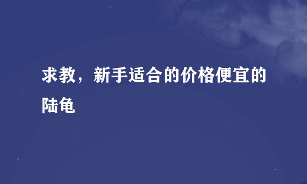 求教，新手适合的价格便宜的陆龟