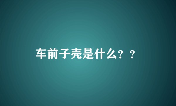 车前子壳是什么？？