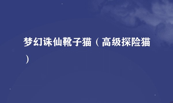 梦幻诛仙靴子猫（高级探险猫）