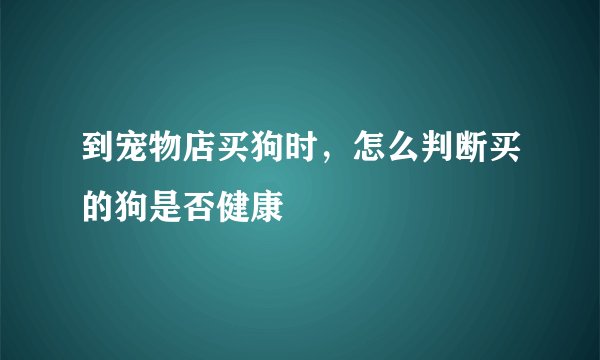 到宠物店买狗时，怎么判断买的狗是否健康