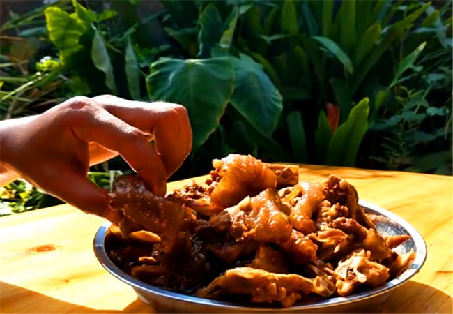 巴西红耳龟可以吃吗，要怎么做啊