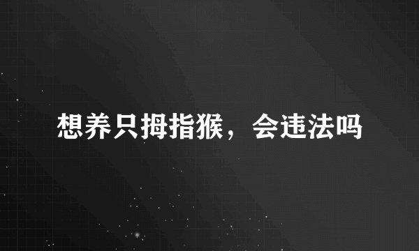 想养只拇指猴，会违法吗