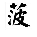 菠字组词