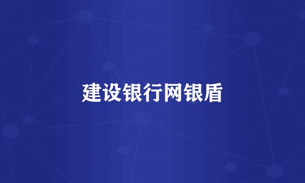 建设银行网银盾